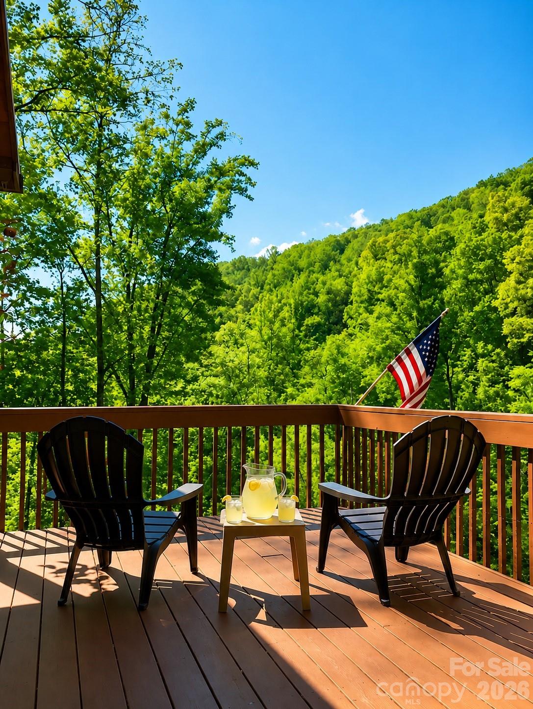Single Family Residence at 420 Chimney Rock Drive, Weaverville, photo 2 of 42