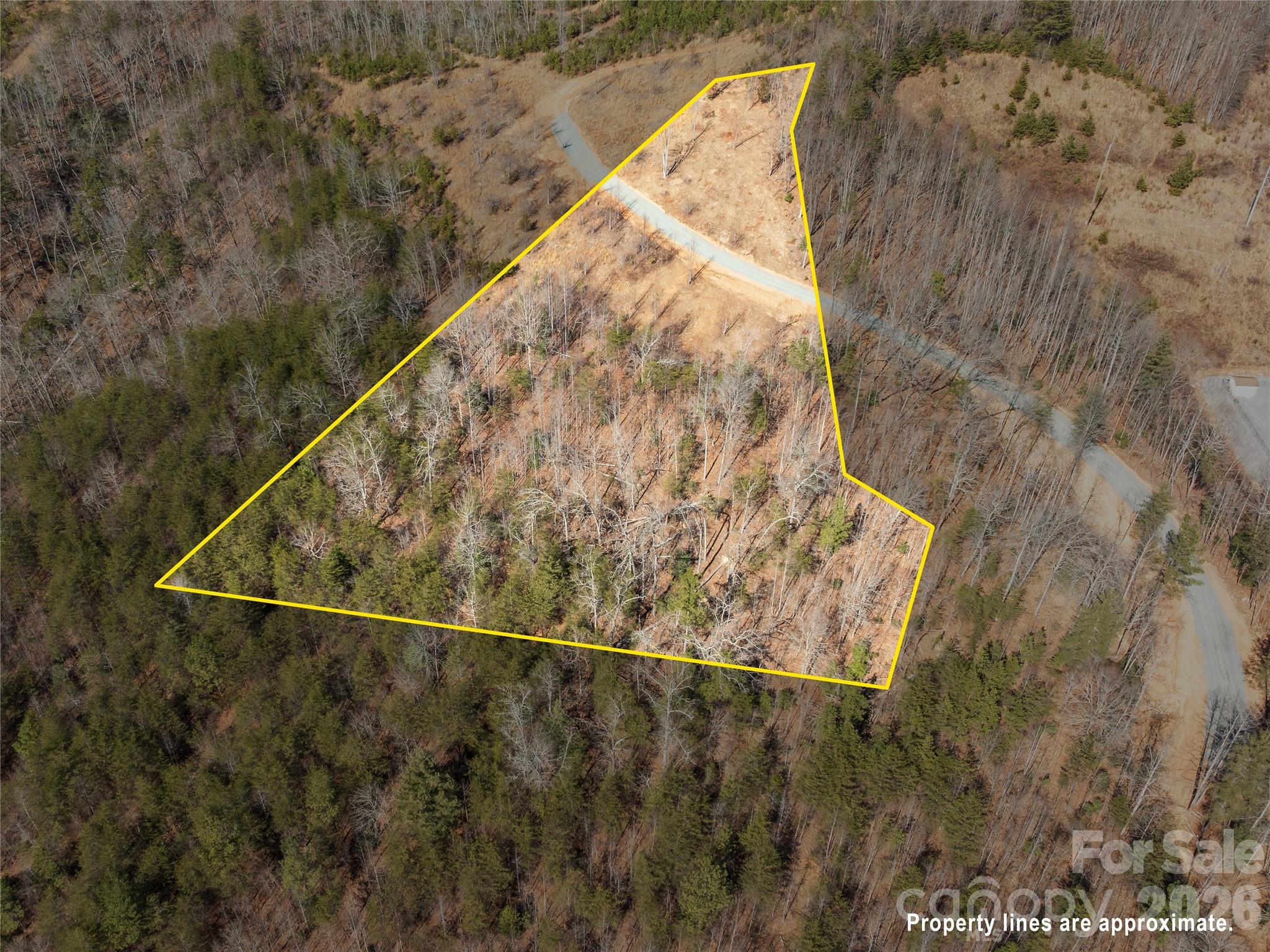 Lot at LOT #1 Price Summit Way, Mill Spring, photo 3 of 18