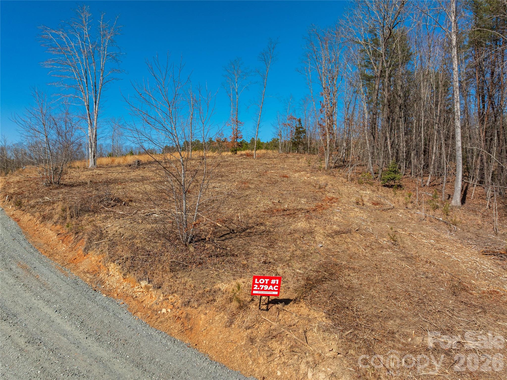 Lot at LOT #1 Price Summit Way, Mill Spring, photo 4 of 18