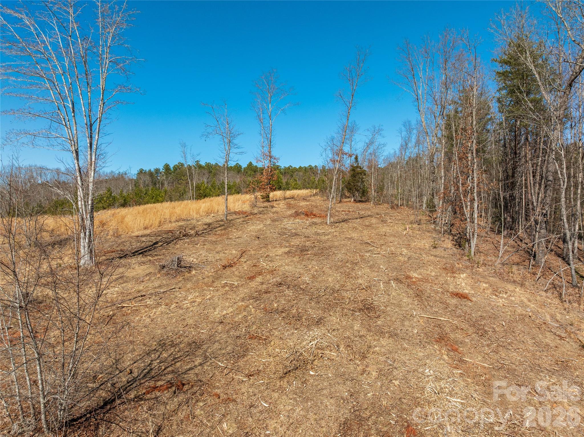 Lot at LOT #1 Price Summit Way, Mill Spring, photo 13 of 18