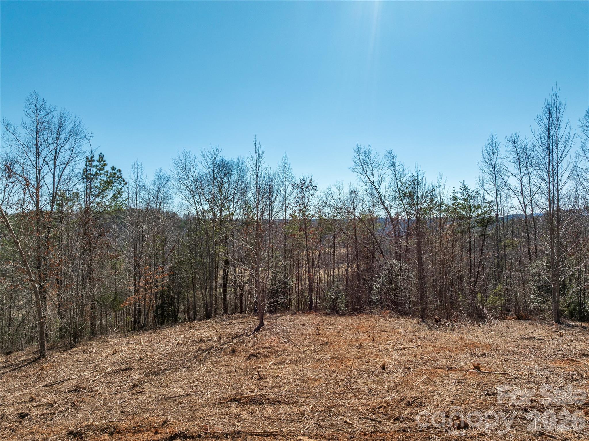 Lot at LOT #1 Price Summit Way, Mill Spring, photo 15 of 18