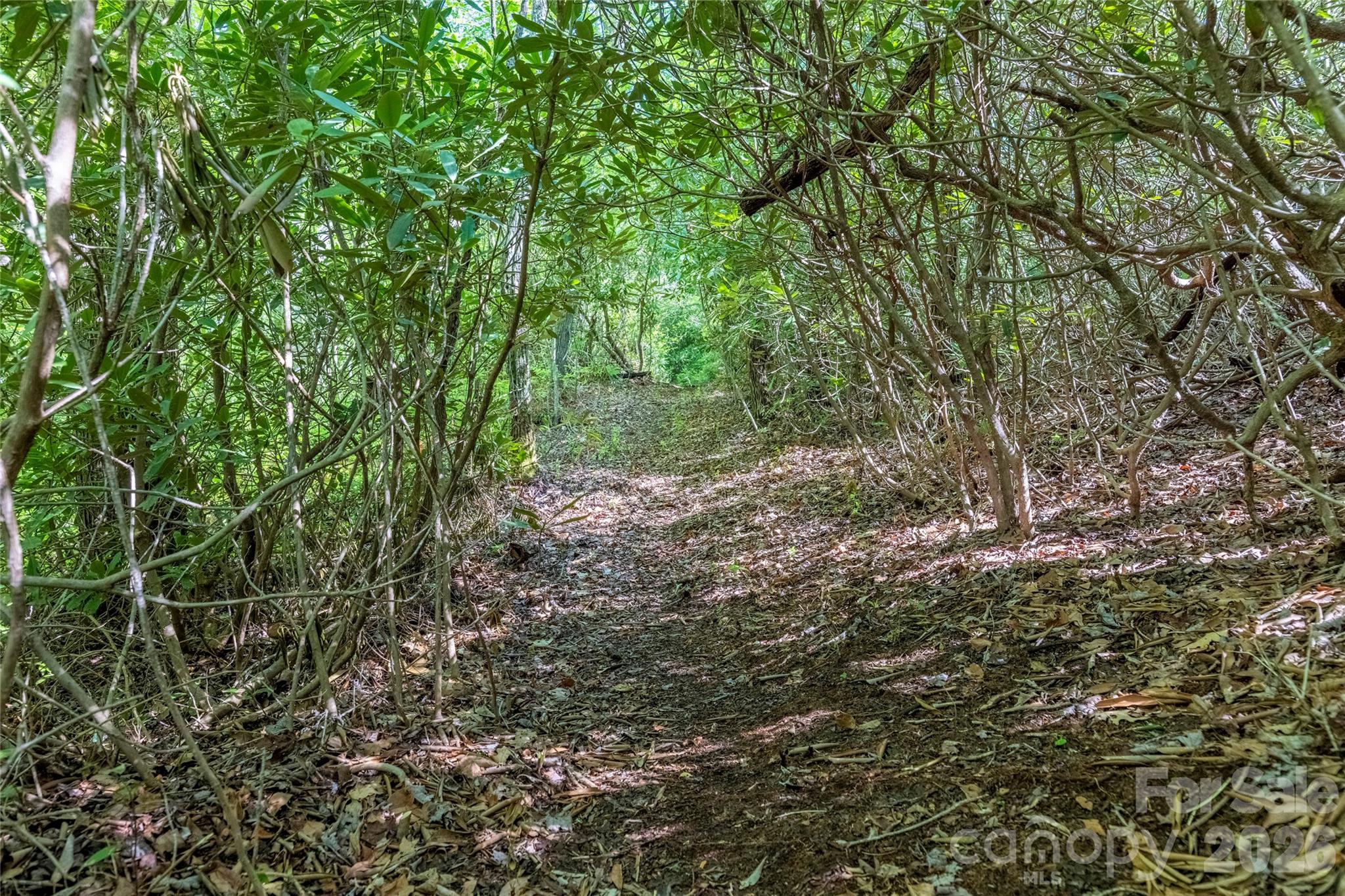 Acreage at TBD Long Ridge Road, Lake Toxaway, photo 2 of 13