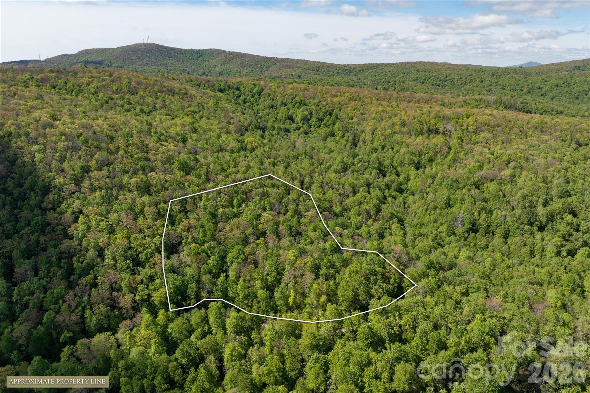 Acreage at TBD Long Ridge Road, Lake Toxaway, photo 11 of 13