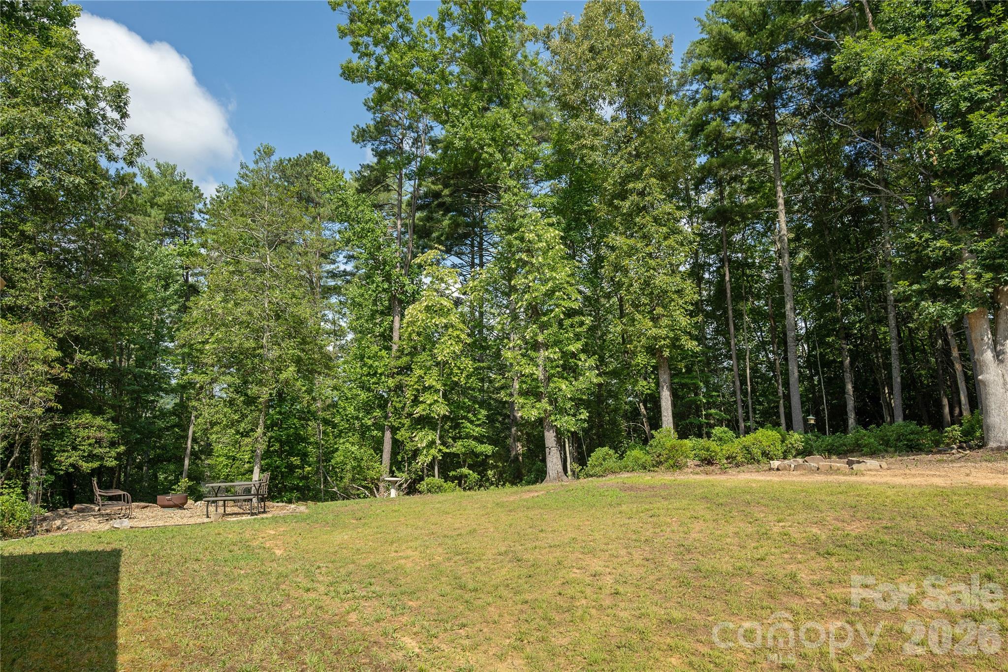 Mature Landscaping - 59 Smalltown Trail, Brevard