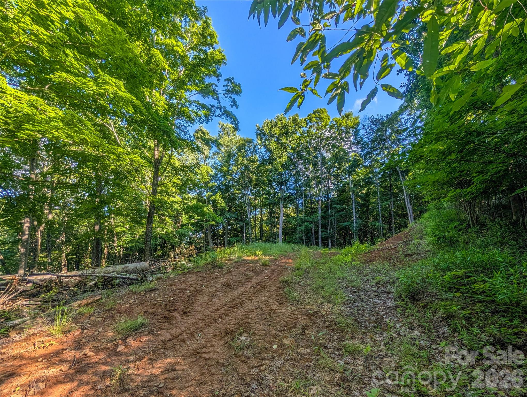 View of lot from driveway, driveway does need gravel so it is best to park at bottom of driveway and walk up - very short distance/walk to top of lot. - 000 Amber Ranches None, Bakersville