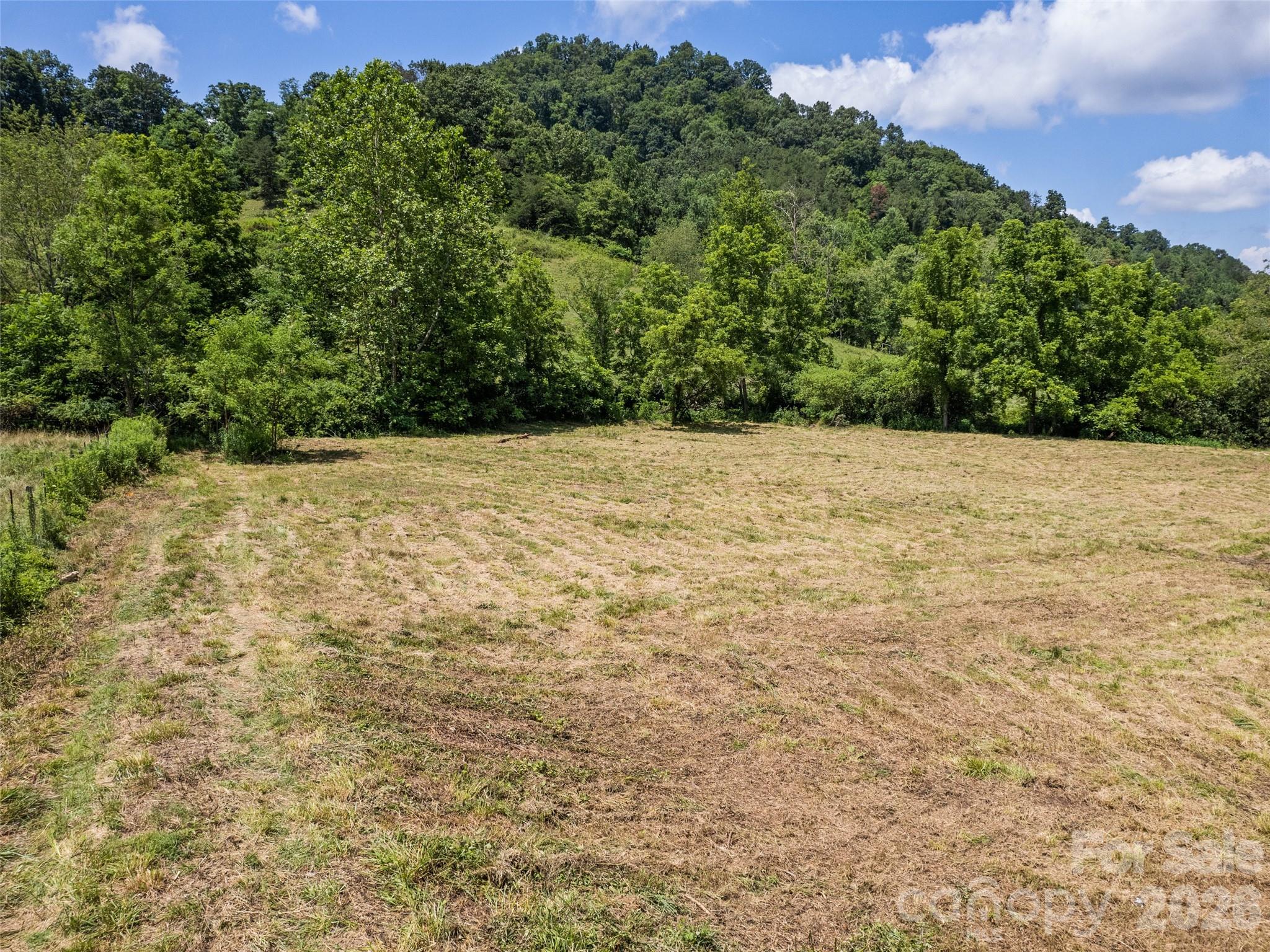Acreage at 309 Sugar Creek Road, Leicester, photo 8 of 15
