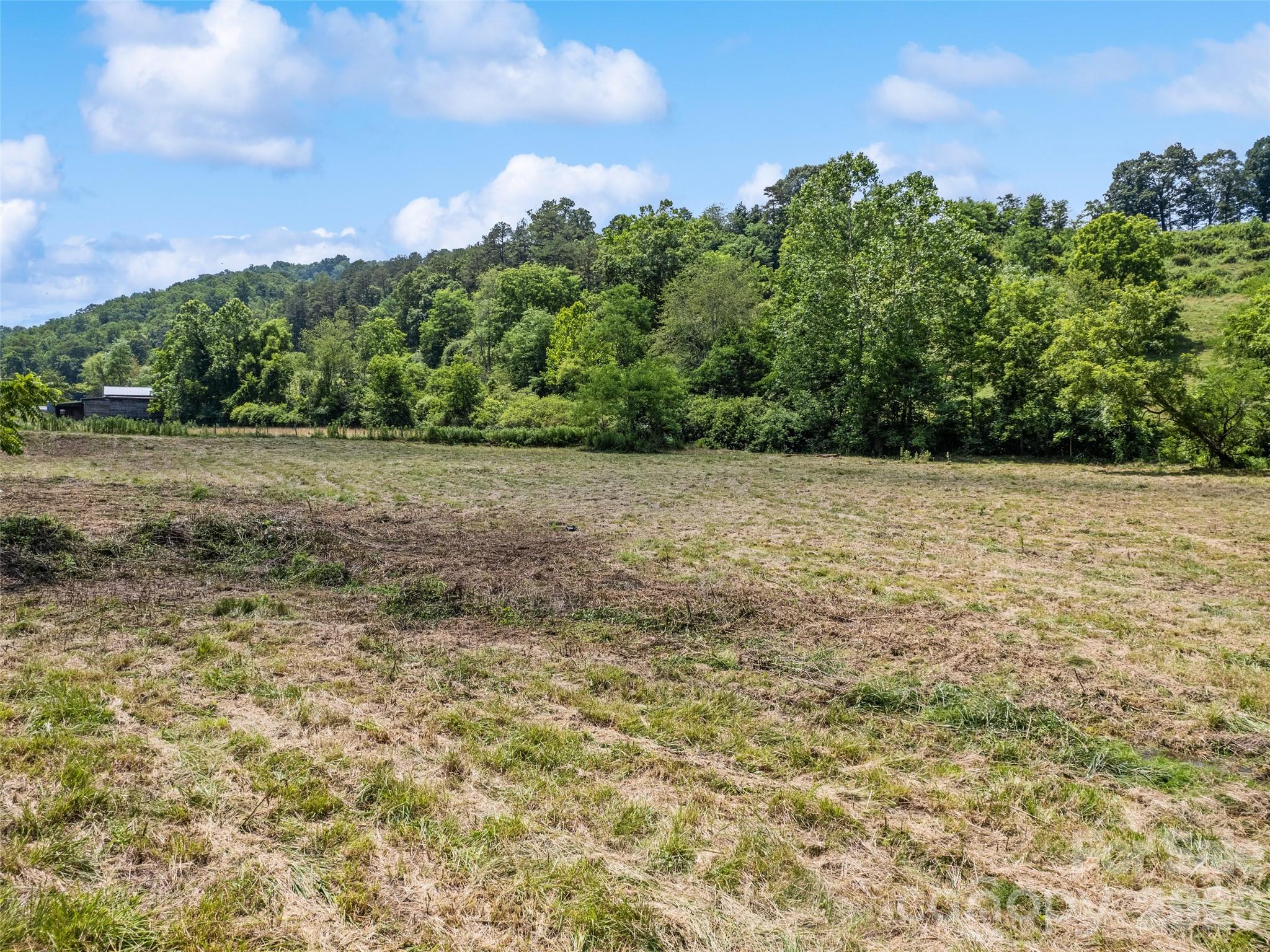 Acreage at 309 Sugar Creek Road, Leicester, photo 12 of 15