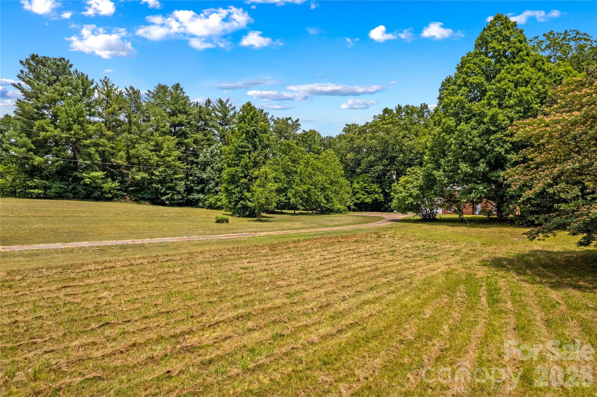 Gorgeous land! - 155 Duck Creek Road, Troutman