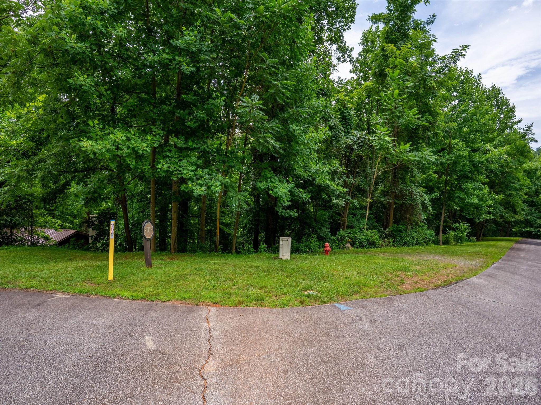 Lot at 236 Nottingham Drive, Mill Spring, photo 3 of 19