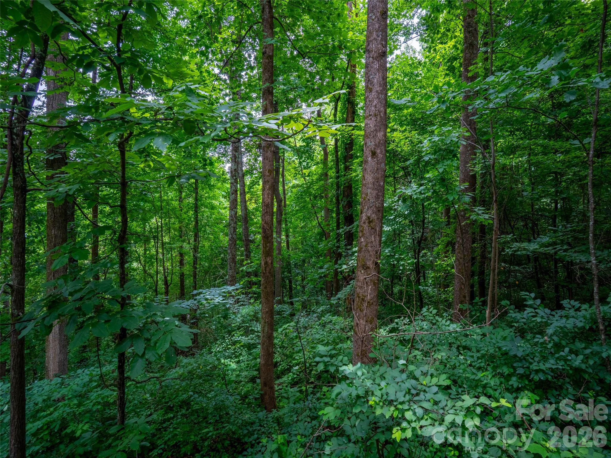 Lot at 236 Nottingham Drive, Mill Spring, photo 6 of 19