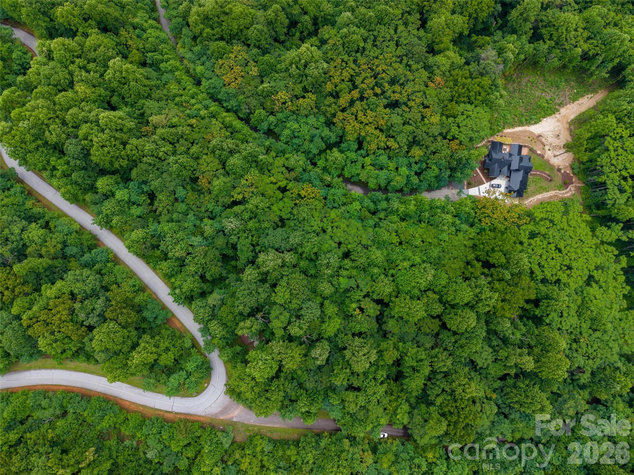 Lot at 236 Nottingham Drive, Mill Spring, photo 15 of 19