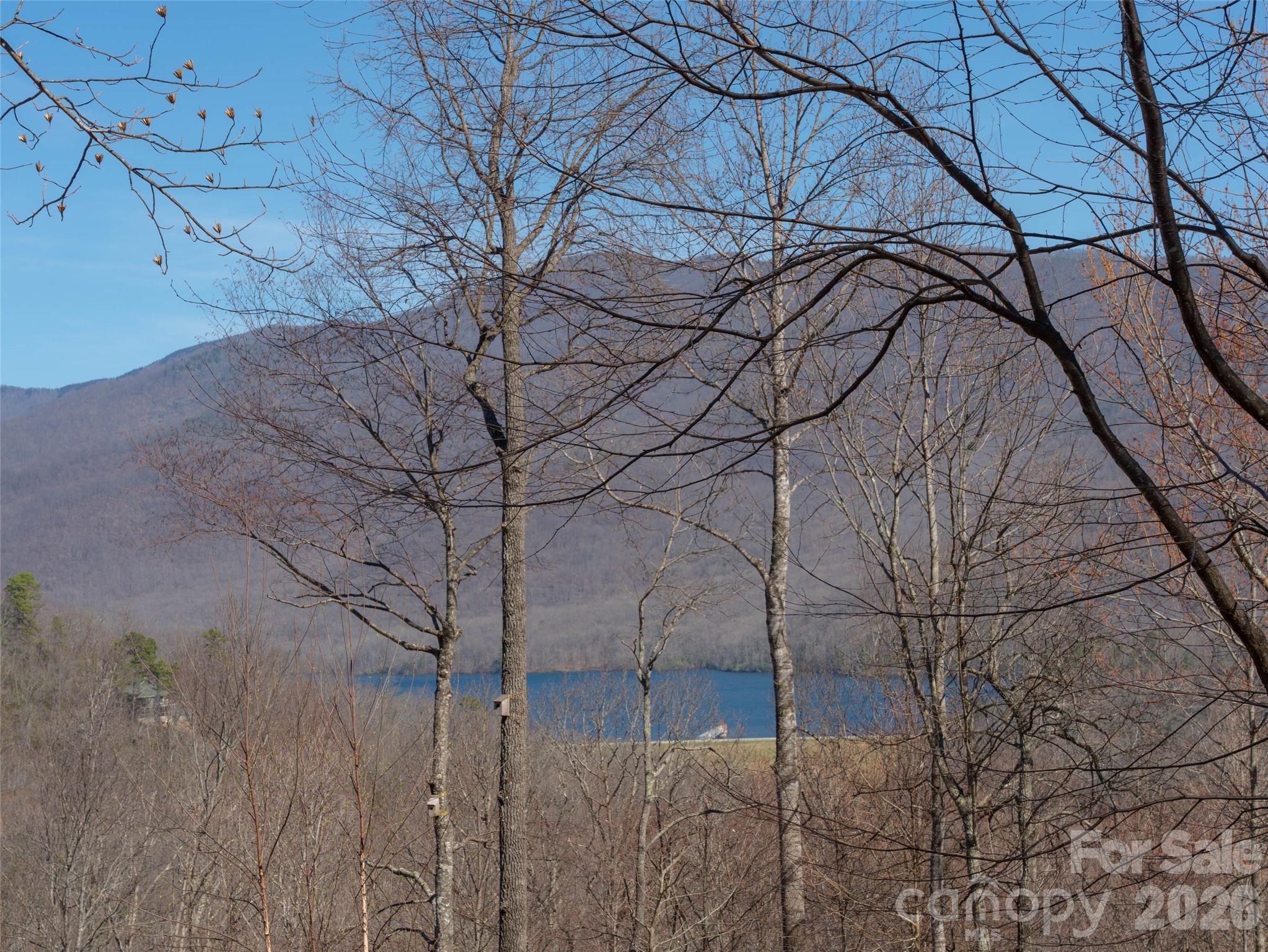 Build your custom home to capture the views of the Blue Ridge Mountains surrounding the Asheville watershed. Photo taken from the middle to upper level of Lot #316. - 26 Great Aspen Way, Black Mountain