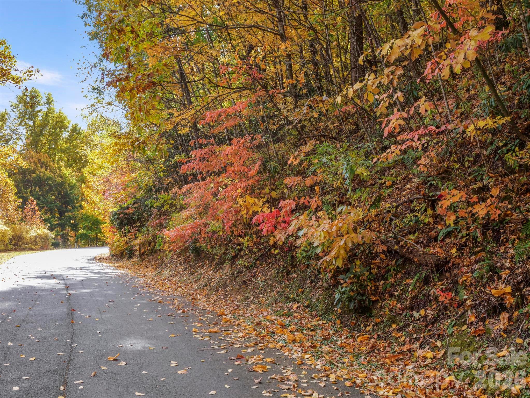 Street view of Lot 316 on Great Aspen Way. - 26 Great Aspen Way, Black Mountain