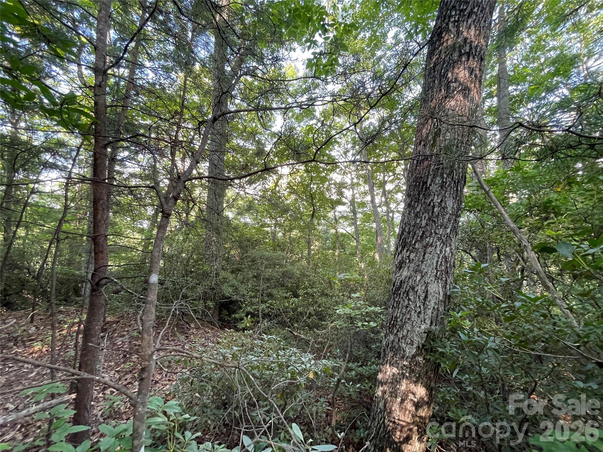 Lot at 225 Lucerne Drive, Canton, photo 15 of 37