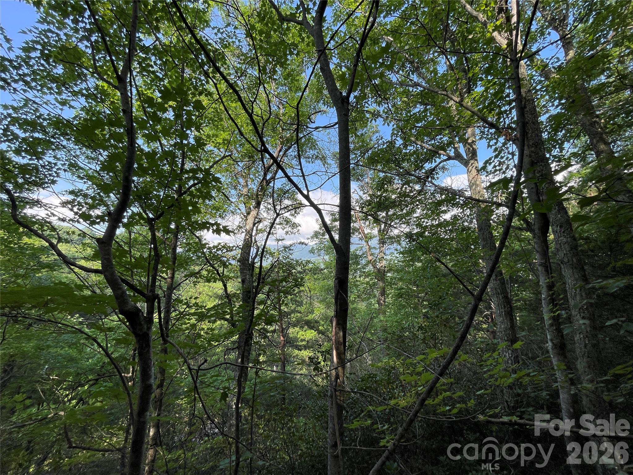 Lot at 225 Lucerne Drive, Canton, photo 19 of 37