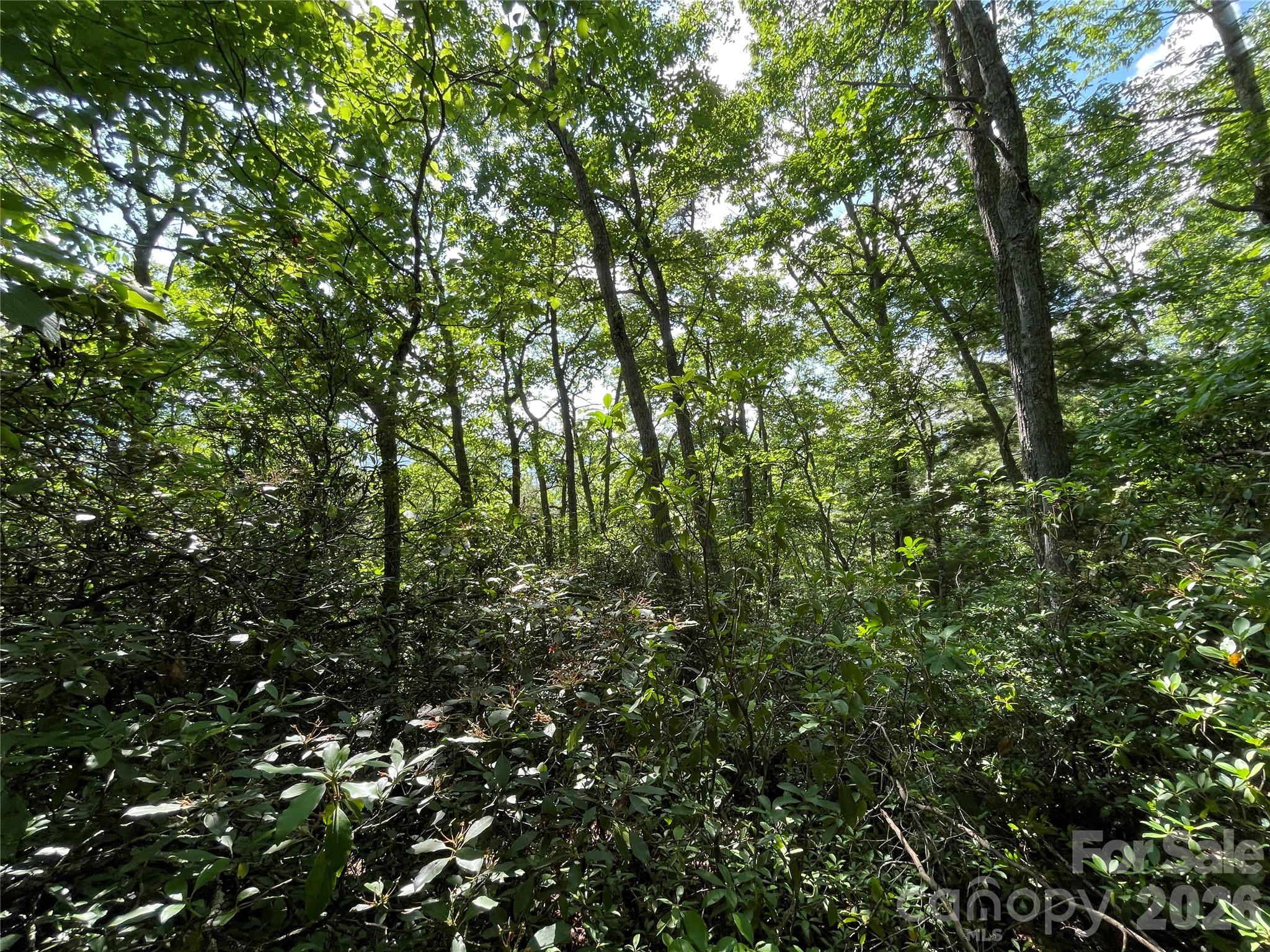 Lot at 225 Lucerne Drive, Canton, photo 28 of 37
