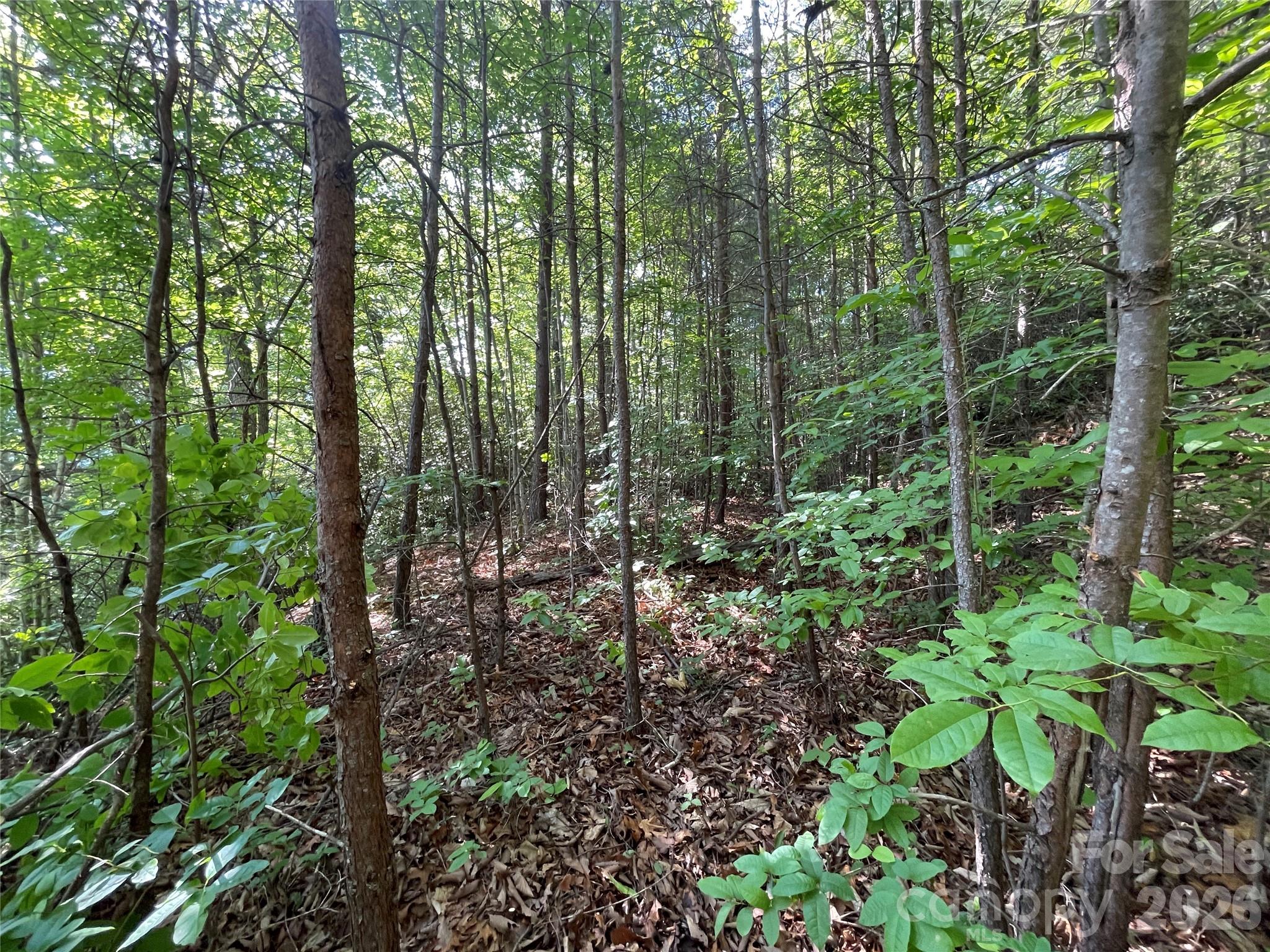 Lot at 225 Lucerne Drive, Canton, photo 30 of 37