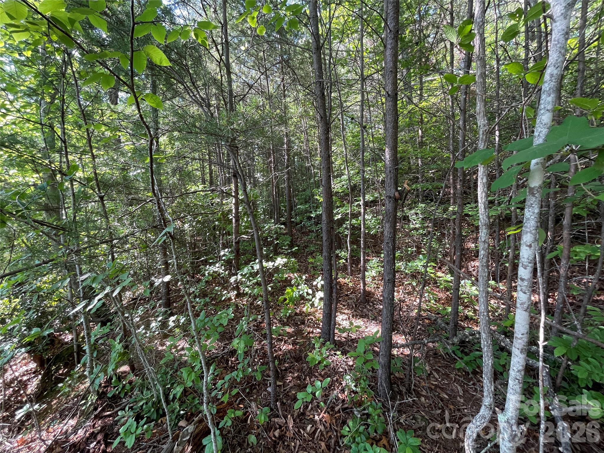 Lot at 225 Lucerne Drive, Canton, photo 31 of 37