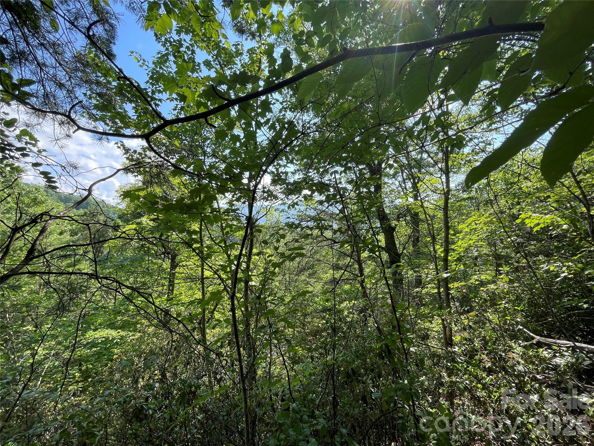 Lot at 225 Lucerne Drive, Canton, photo 33 of 37
