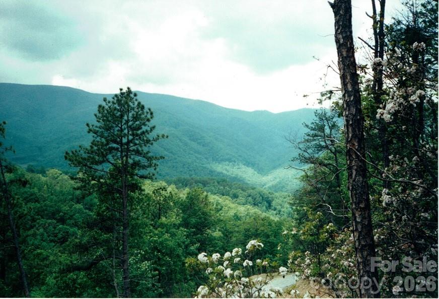 Lot at 225 Lucerne Drive, Canton, photo 35 of 37