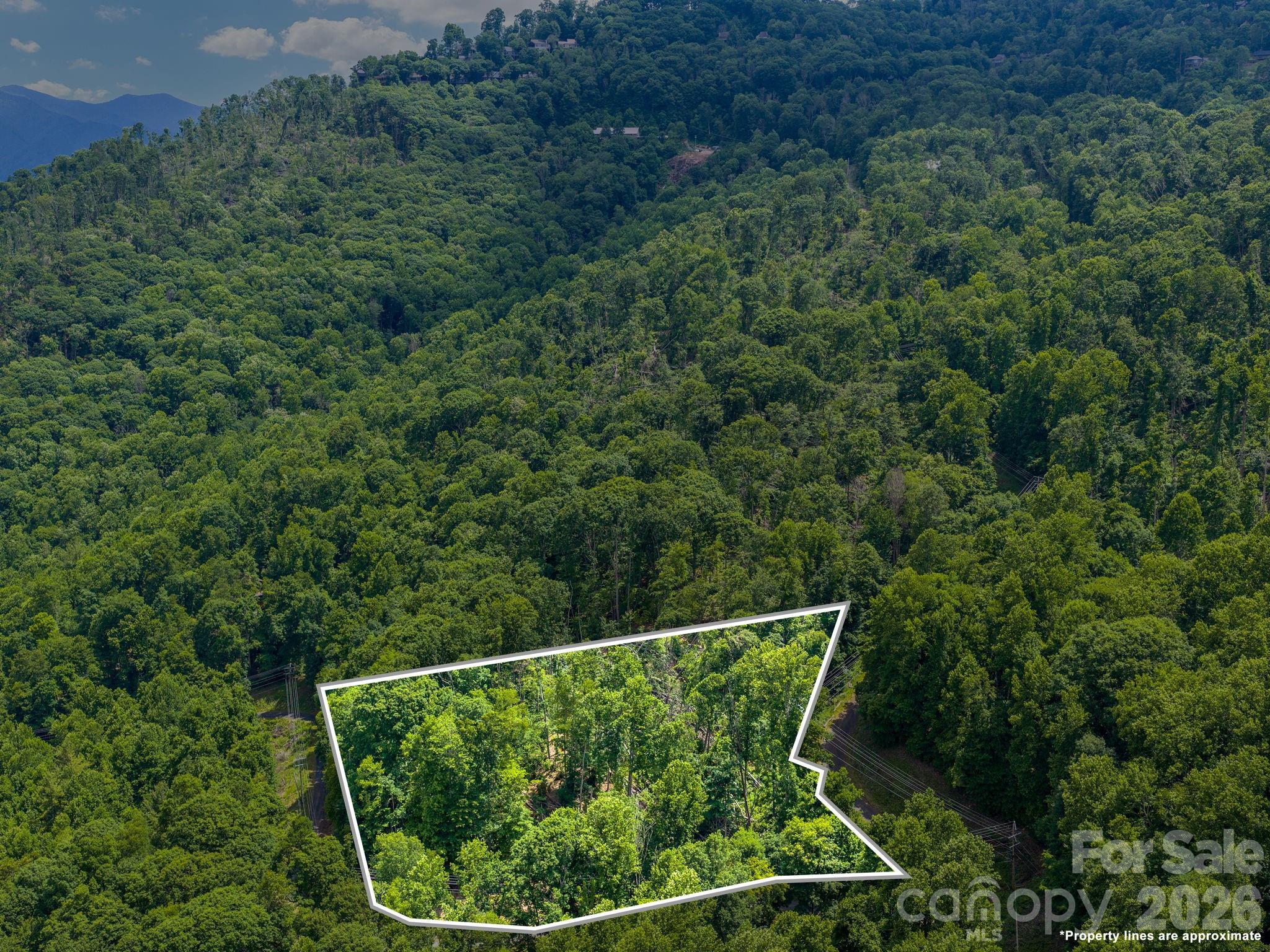 Lot at 99999 Winterberry Road, Burnsville