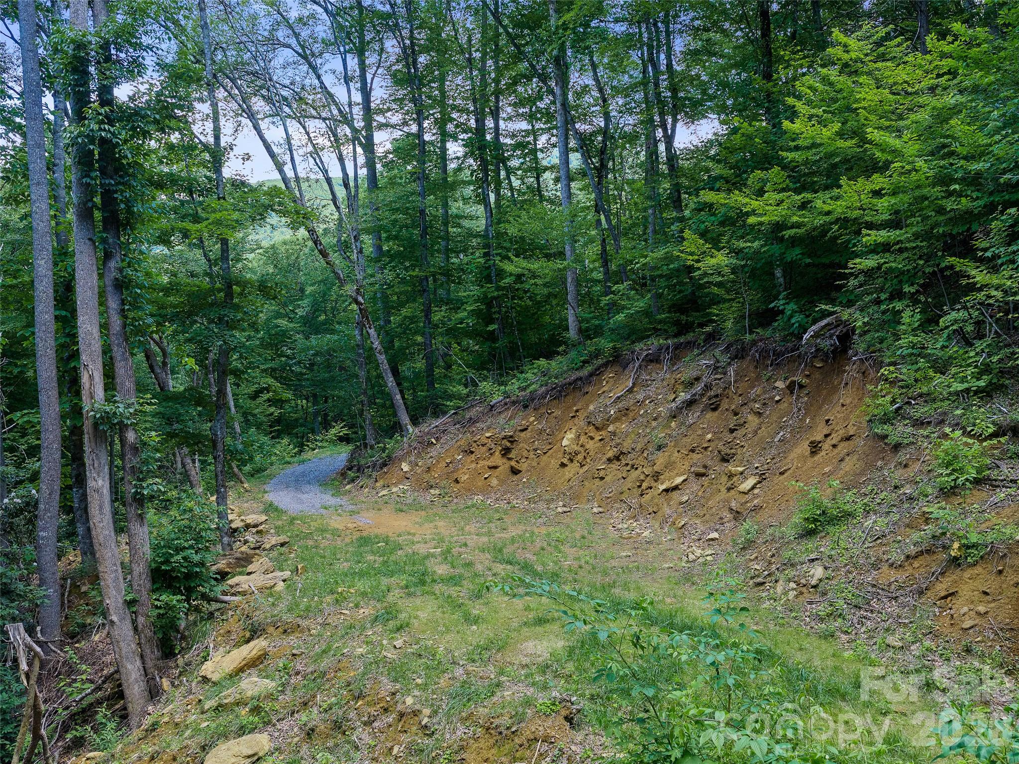 Cleared homesite with new two Bedroom septic system installed recently - 000 Ogles Gap Road, Burnsville