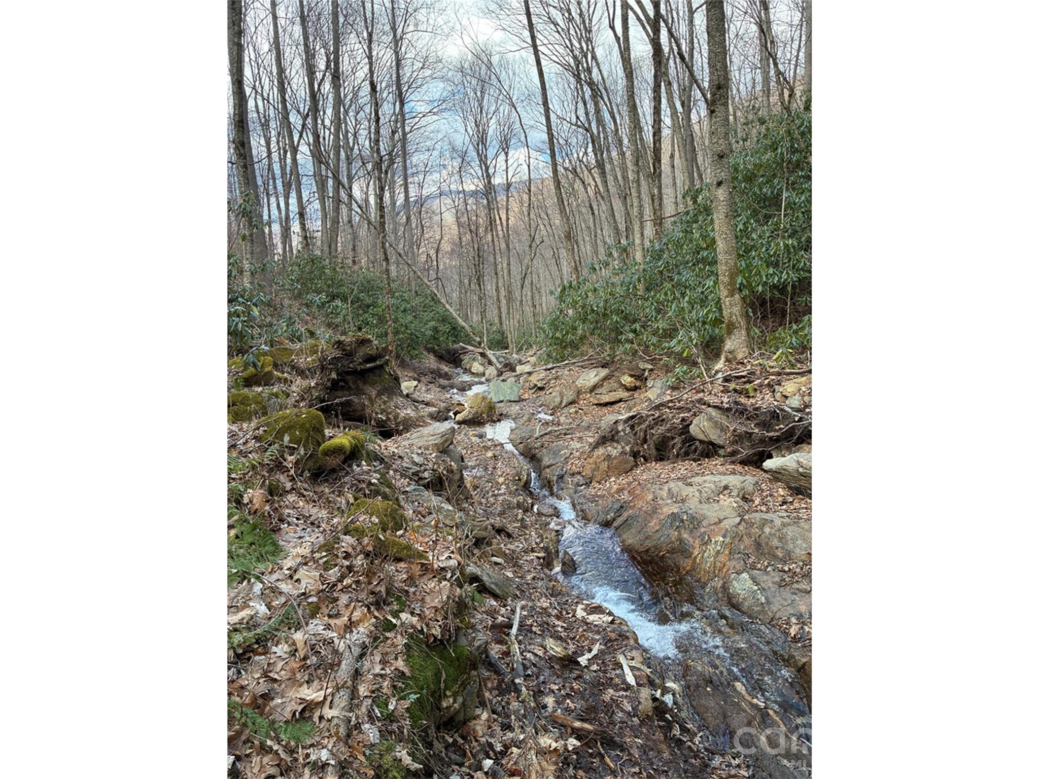000 Ogles Gap Road