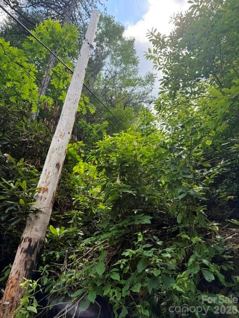 Utility pole at road. - 99999 NC 9 Highway, Black Mountain