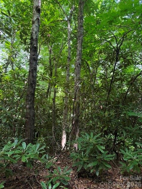 Lot at 99999 NC 9 Highway, Black Mountain, photo 4 of 8