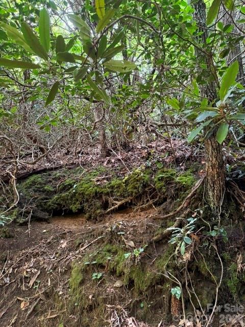Lot at 99999 NC 9 Highway, Black Mountain, photo 5 of 8