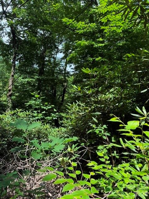 Lot at 99999 NC 9 Highway, Black Mountain, photo 7 of 8