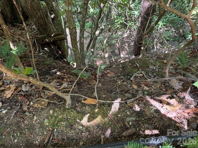 Lot at 99999 NC 9 Highway, Black Mountain, photo 8 of 8