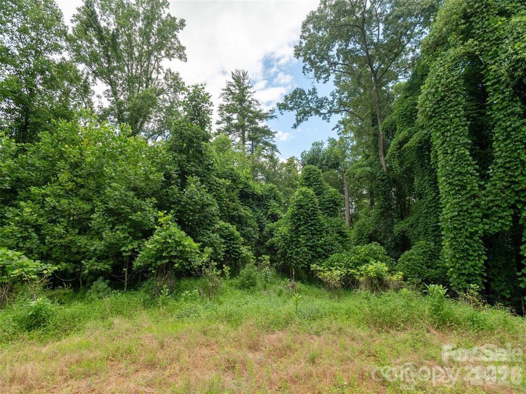 This spacious wooded lot is located in a cul-de-sac, offering a private and serene setting. Utilities are available at the cul-de-sac for convenient access for building. - 00 Willow Brook Falls None, Hendersonville