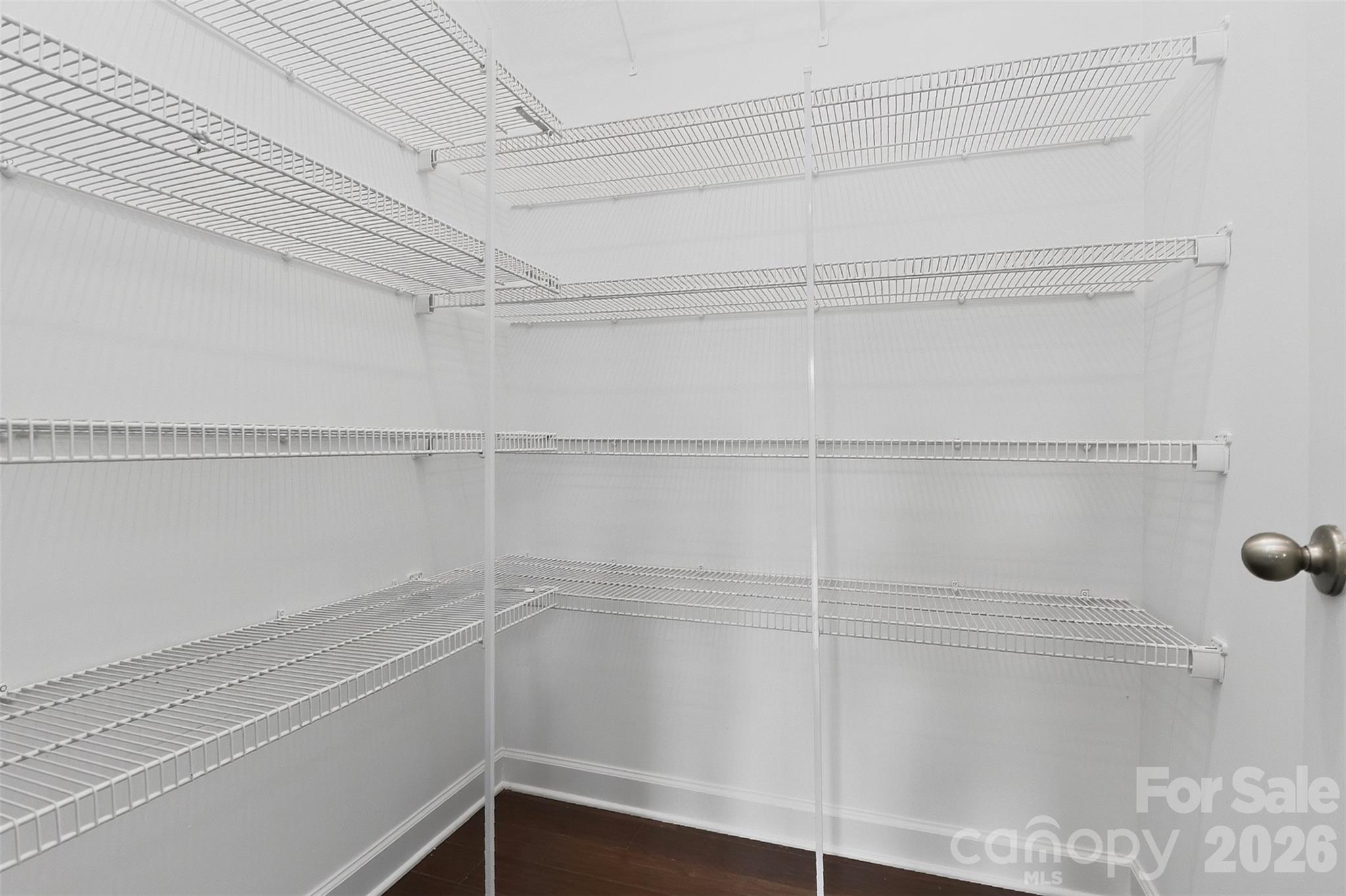 HUGE Pantry Walk-in Closet - 6071 Drave Lane, Fort Mill