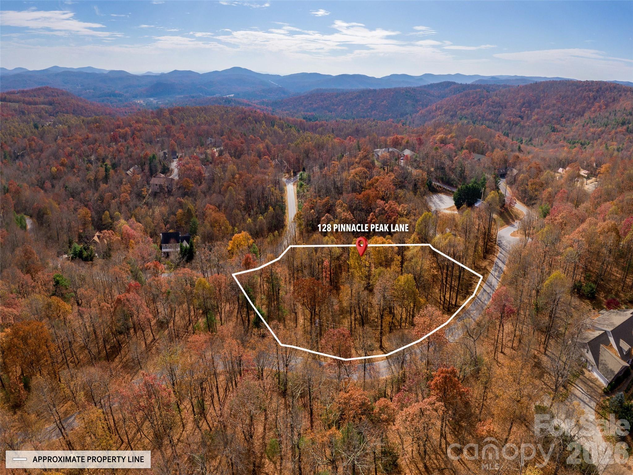 Approximate property lines are shown, outlining this wooded lot for reference. - 128 Pinnacle Peak Lane, Flat Rock