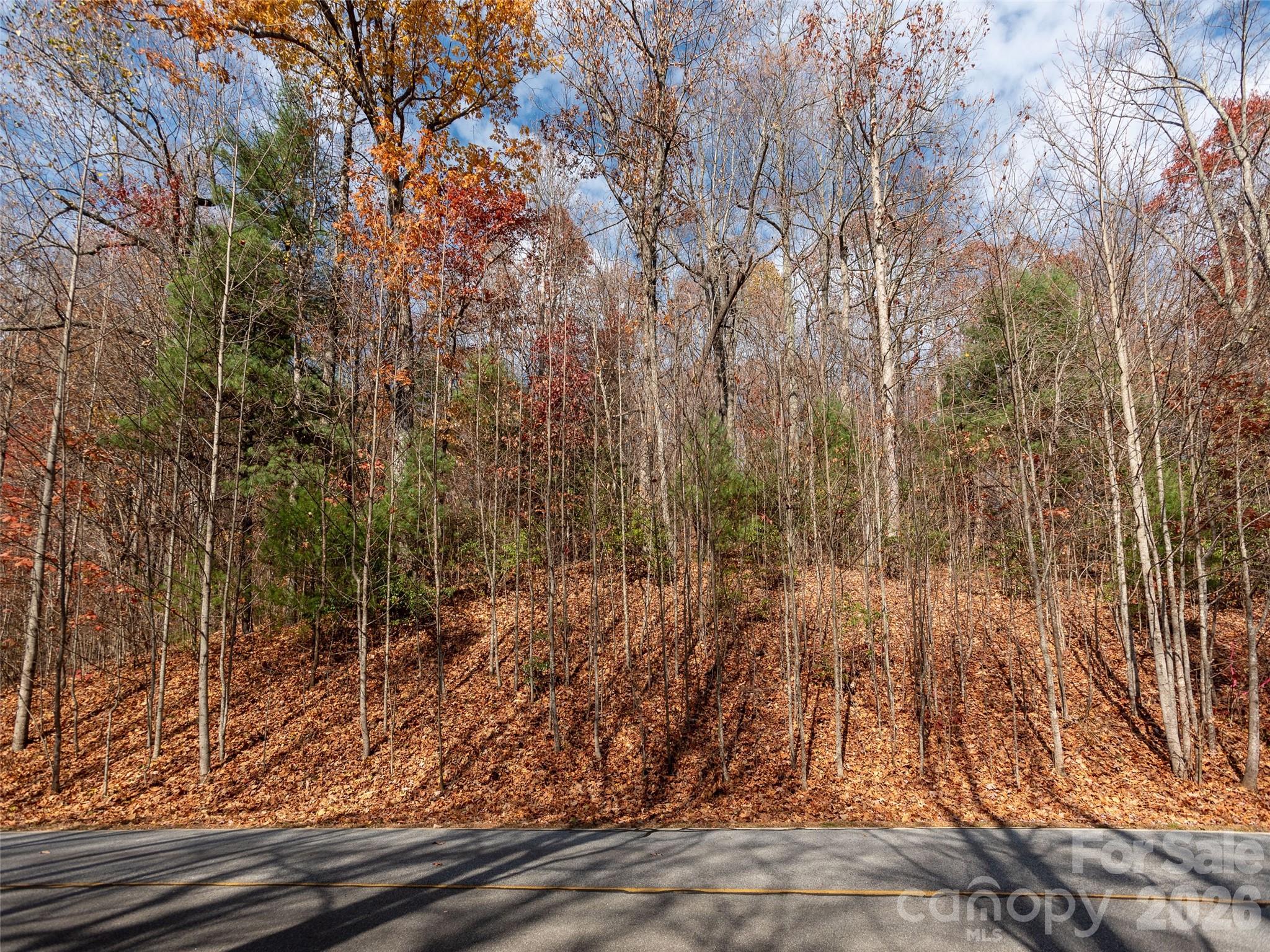 View from the road looking up at the lot. - 128 Pinnacle Peak Lane, Flat Rock