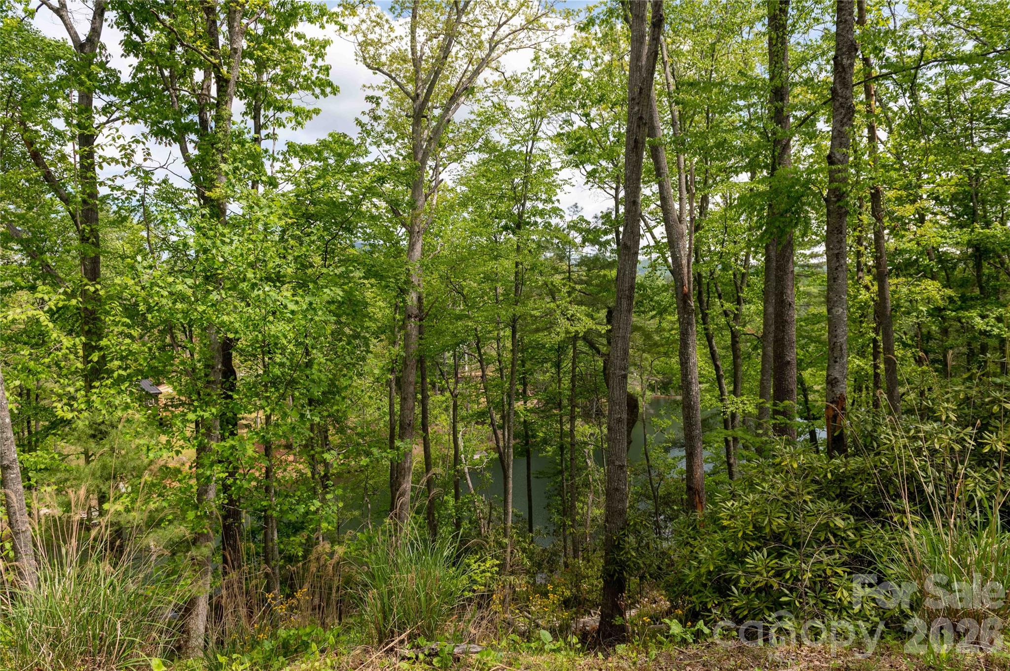 Acreage at 00 Deer Park Lake Road, Spruce Pine, photo 4 of 24