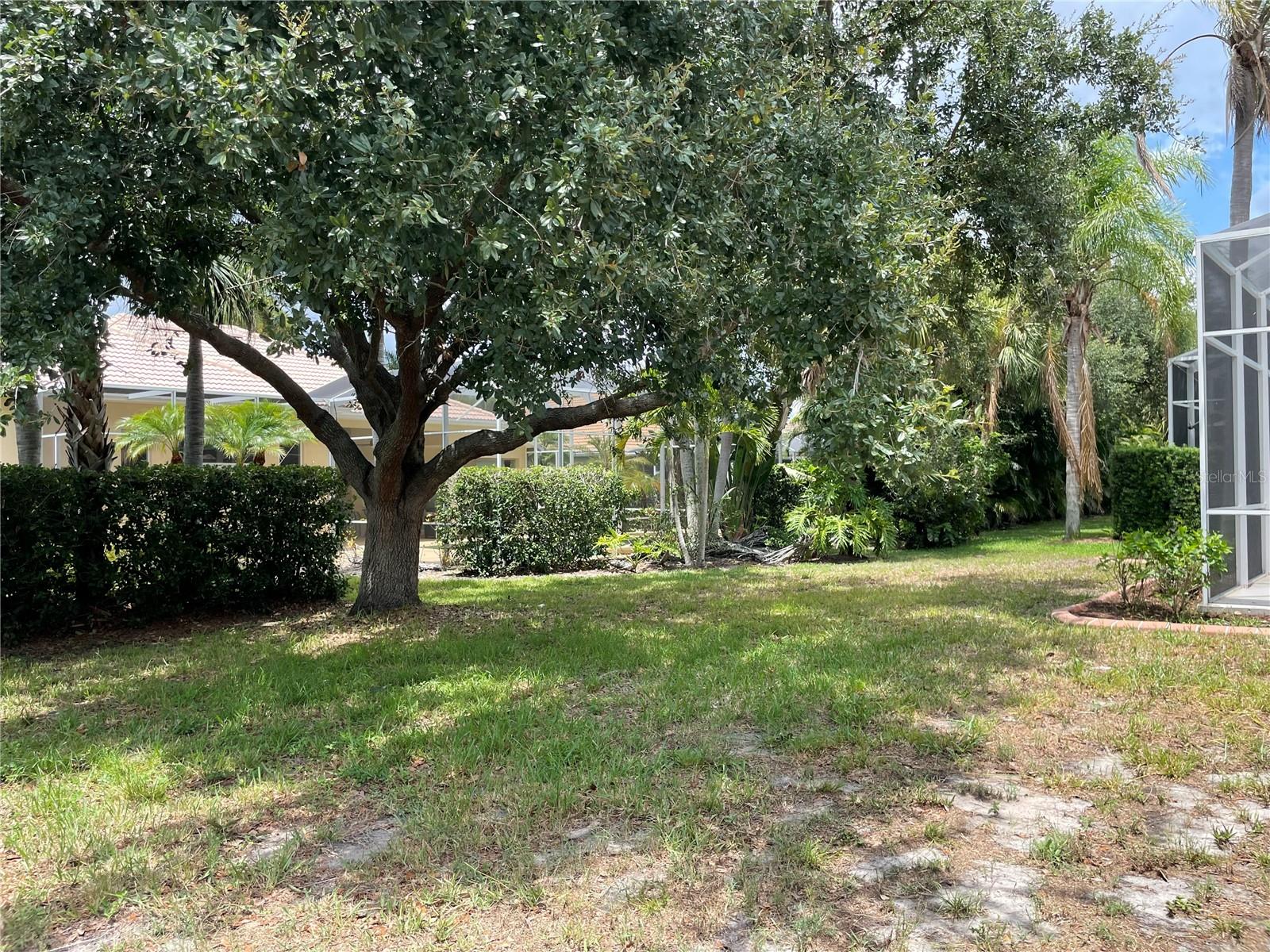 Yard - 6119 PALOMINO CIR, BRADENTON