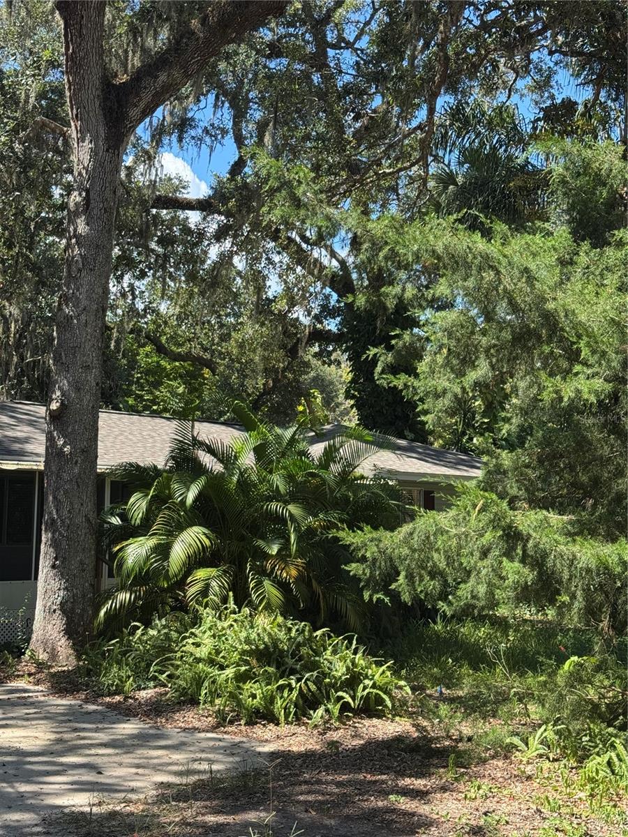 Single Family Residence at 12 DAWSON DR, PALM COAST, photo 4 of 49