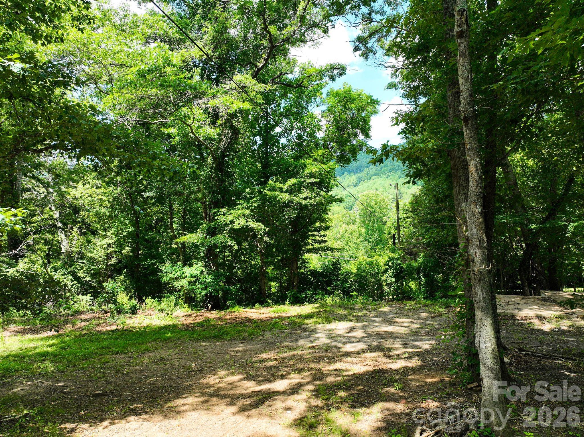 Lot at 99999 Chunns Cove Road, Asheville, photo 2 of 6