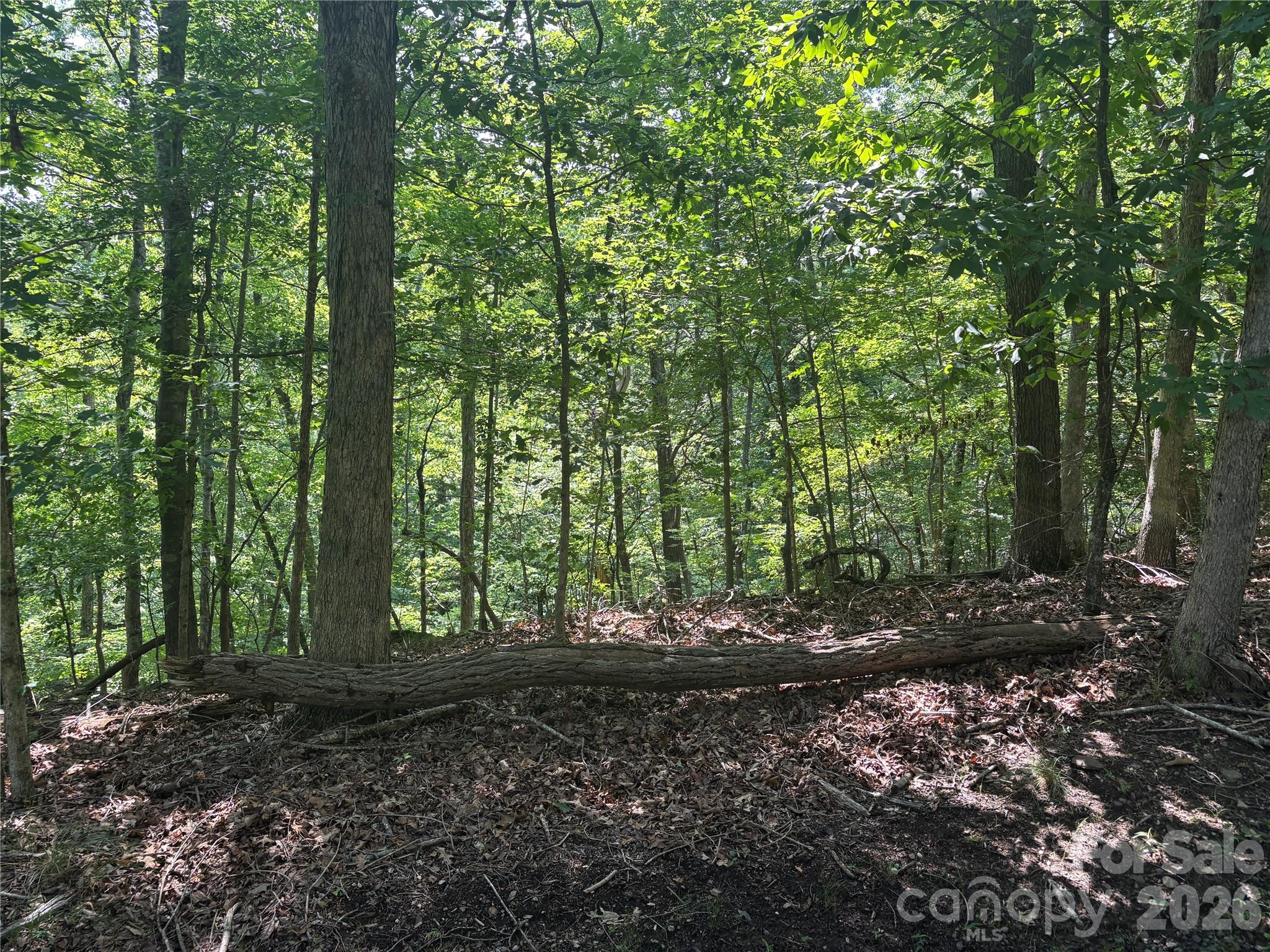 Lot at Lot 13 Crab Apple Court, Lake Lure, photo 2 of 14