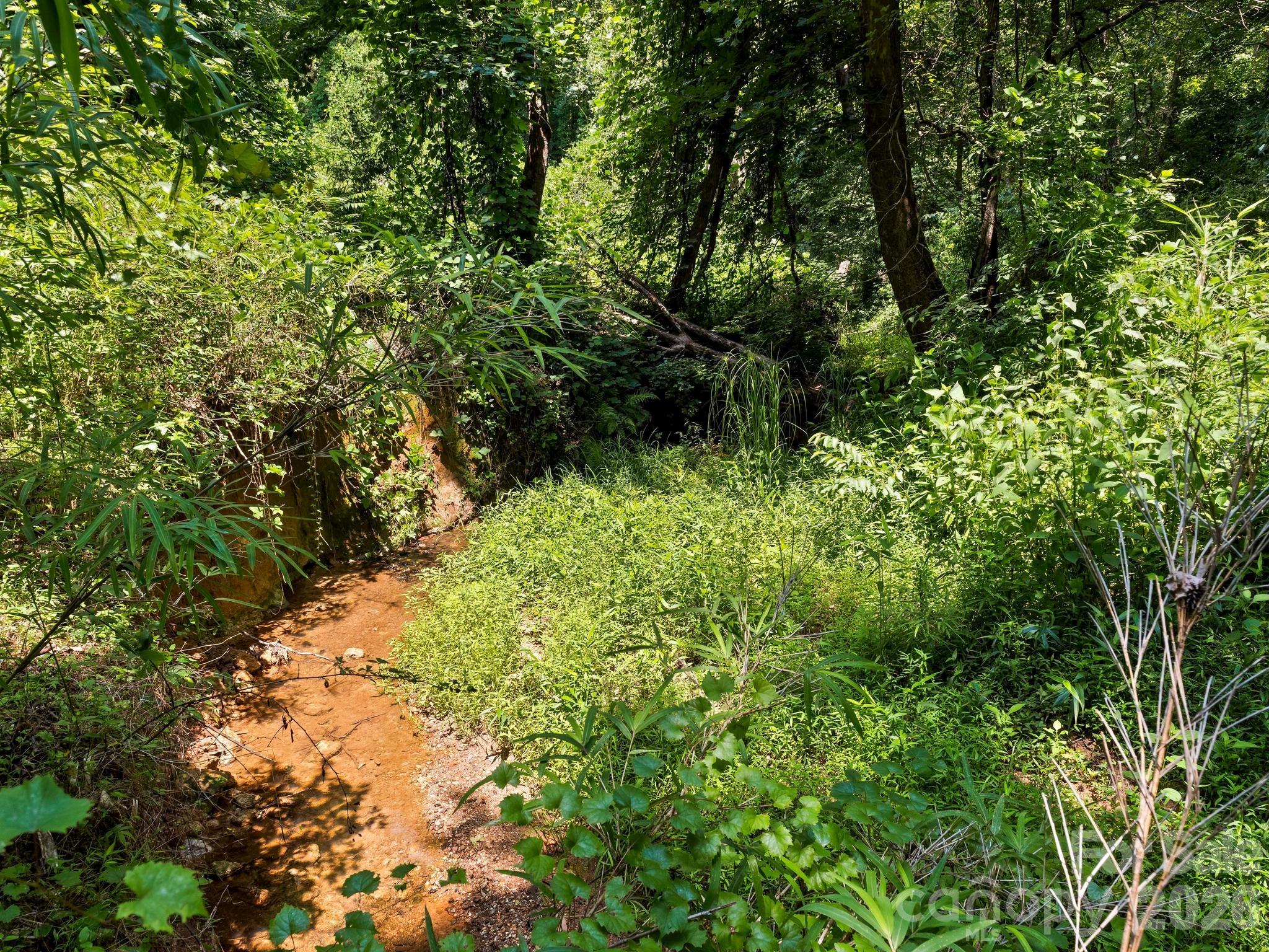 The creek at the back of the property - 1541 Sandy Springs Road, Rutherfordton