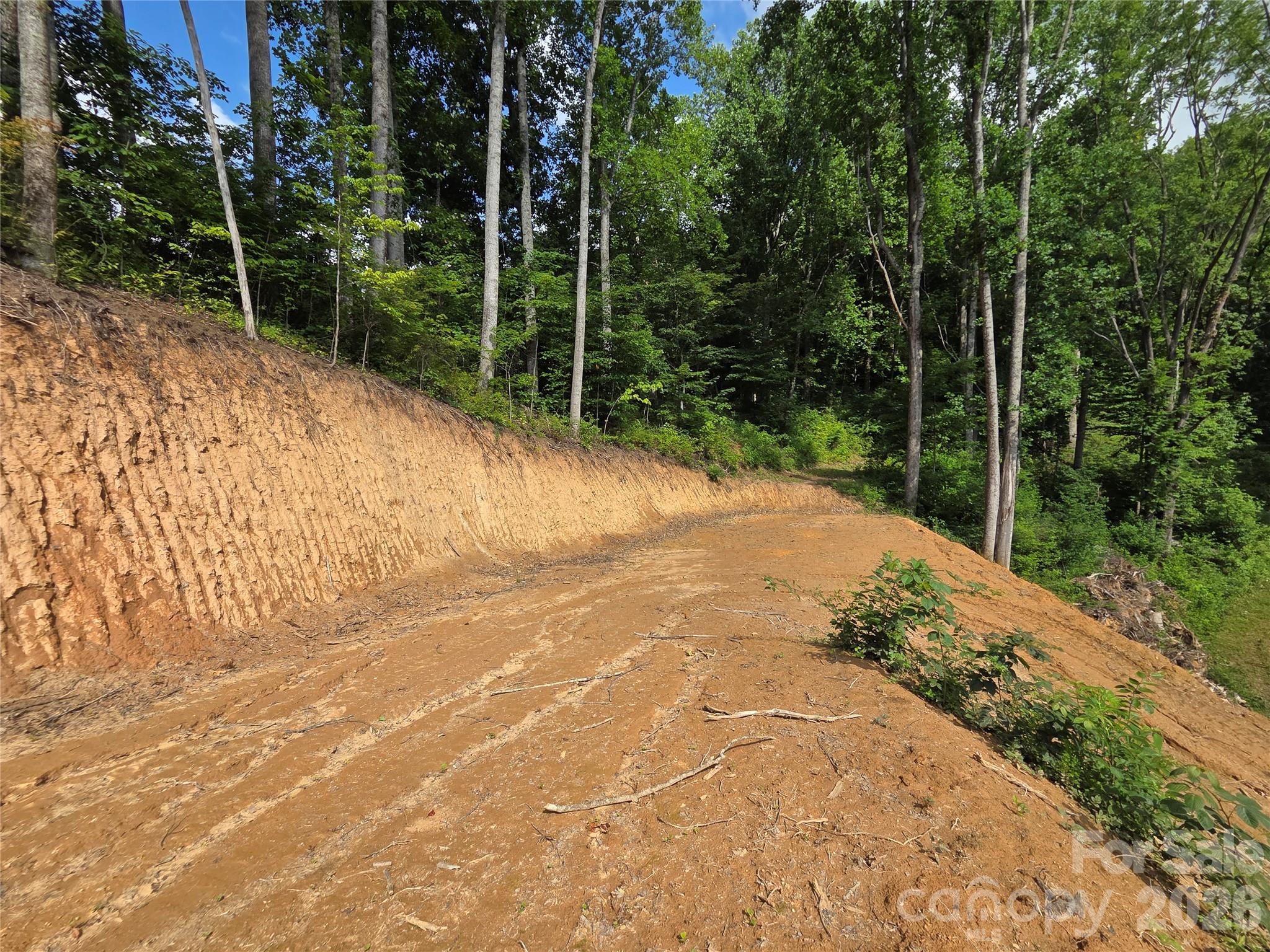 Lot at 275 Sorrells Cove Road, Waynesville, photo 9 of 19