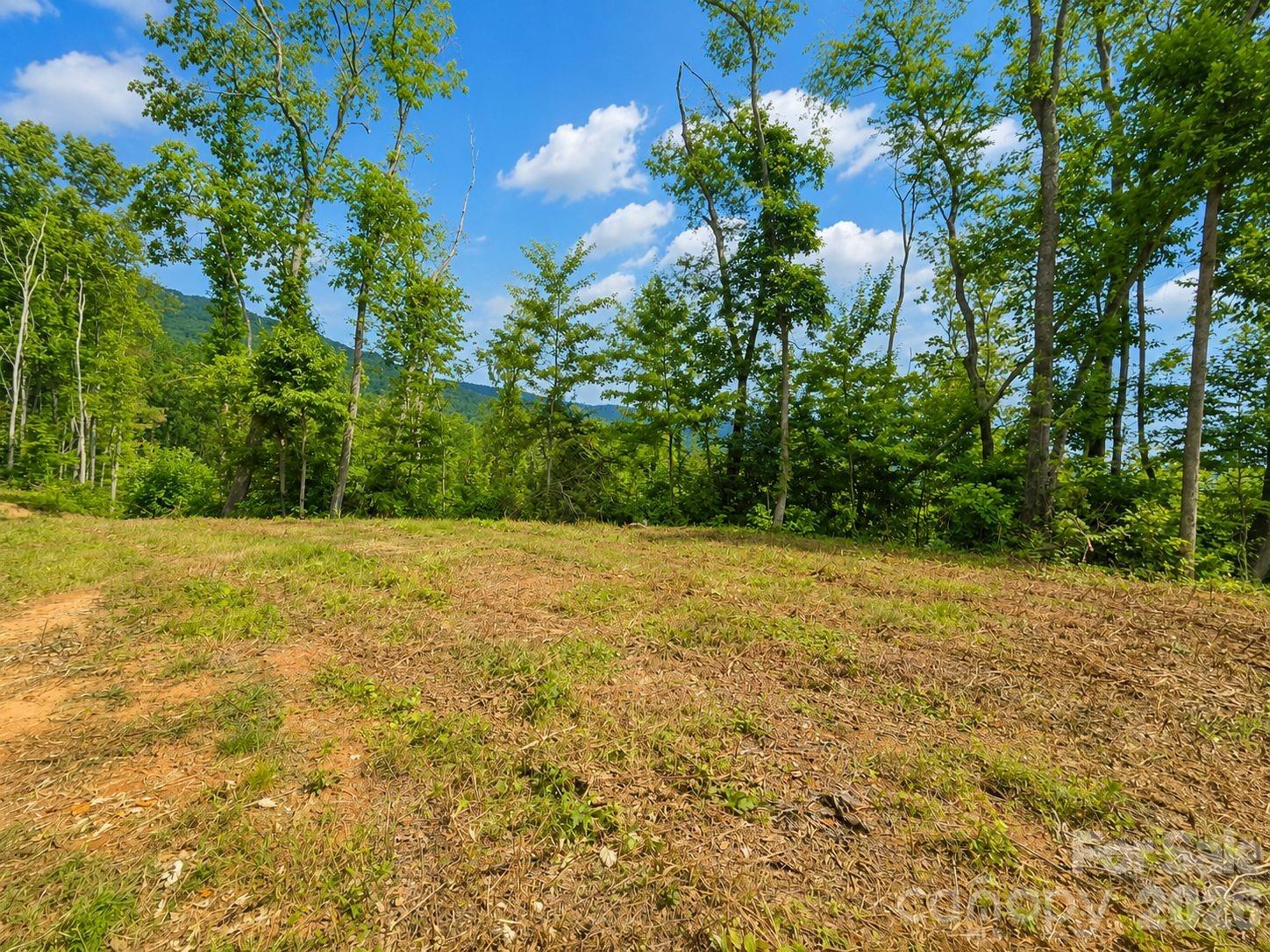 Lot at 275 Sorrells Cove Road, Waynesville, photo 13 of 19