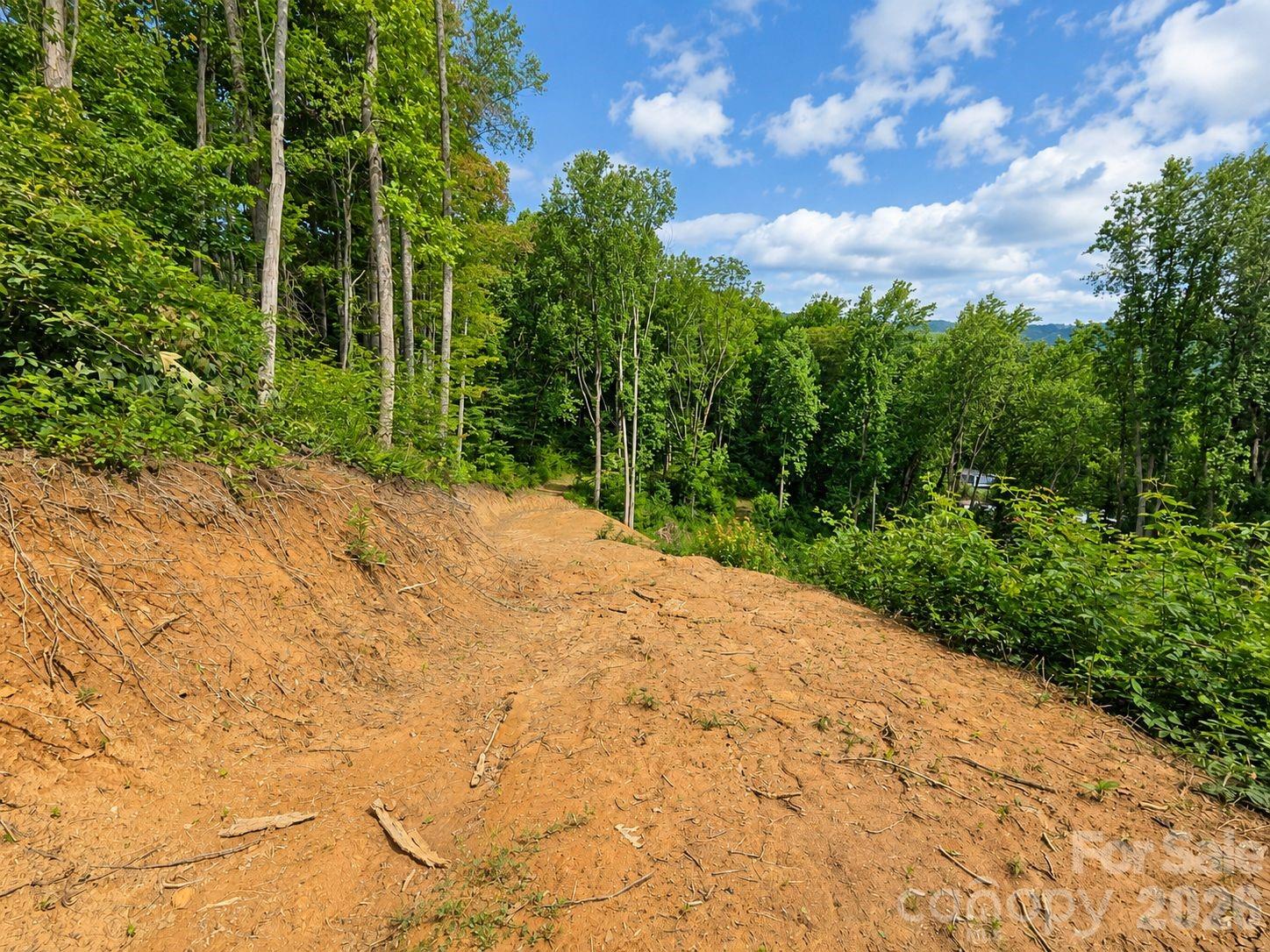 Lot at 275 Sorrells Cove Road, Waynesville, photo 14 of 19