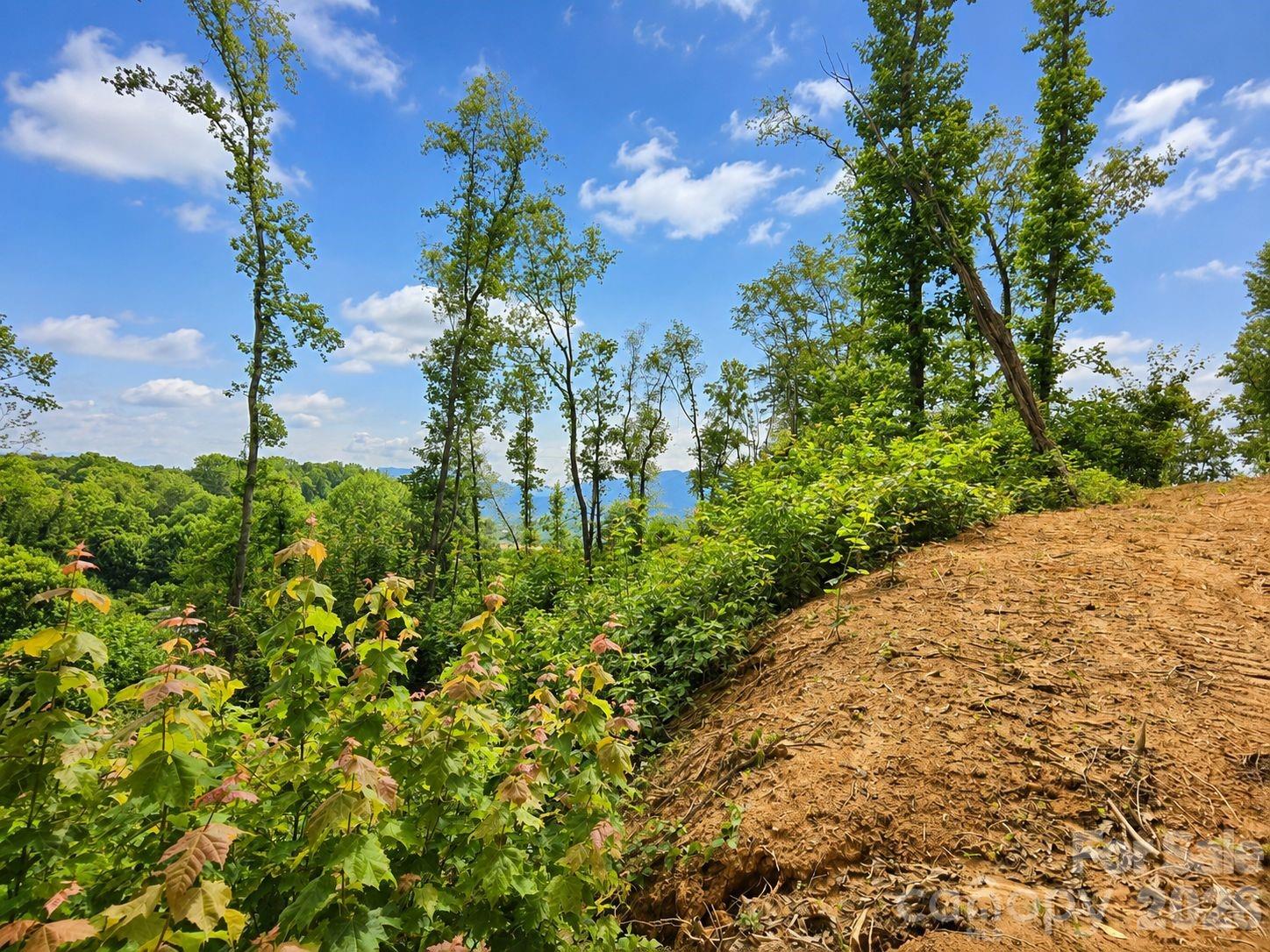 Lot at 275 Sorrells Cove Road, Waynesville, photo 17 of 19