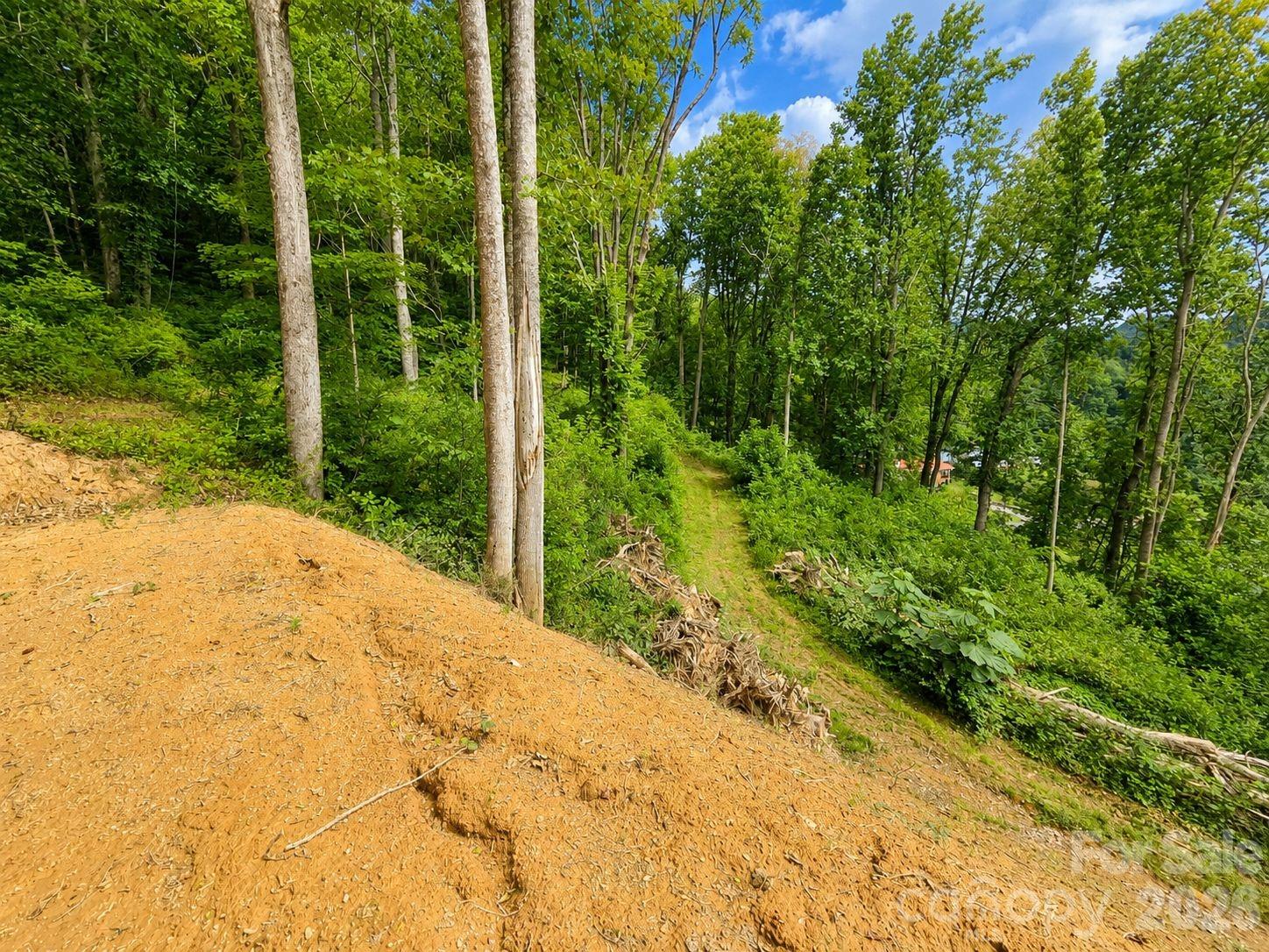Lot at 275 Sorrells Cove Road, Waynesville, photo 18 of 19