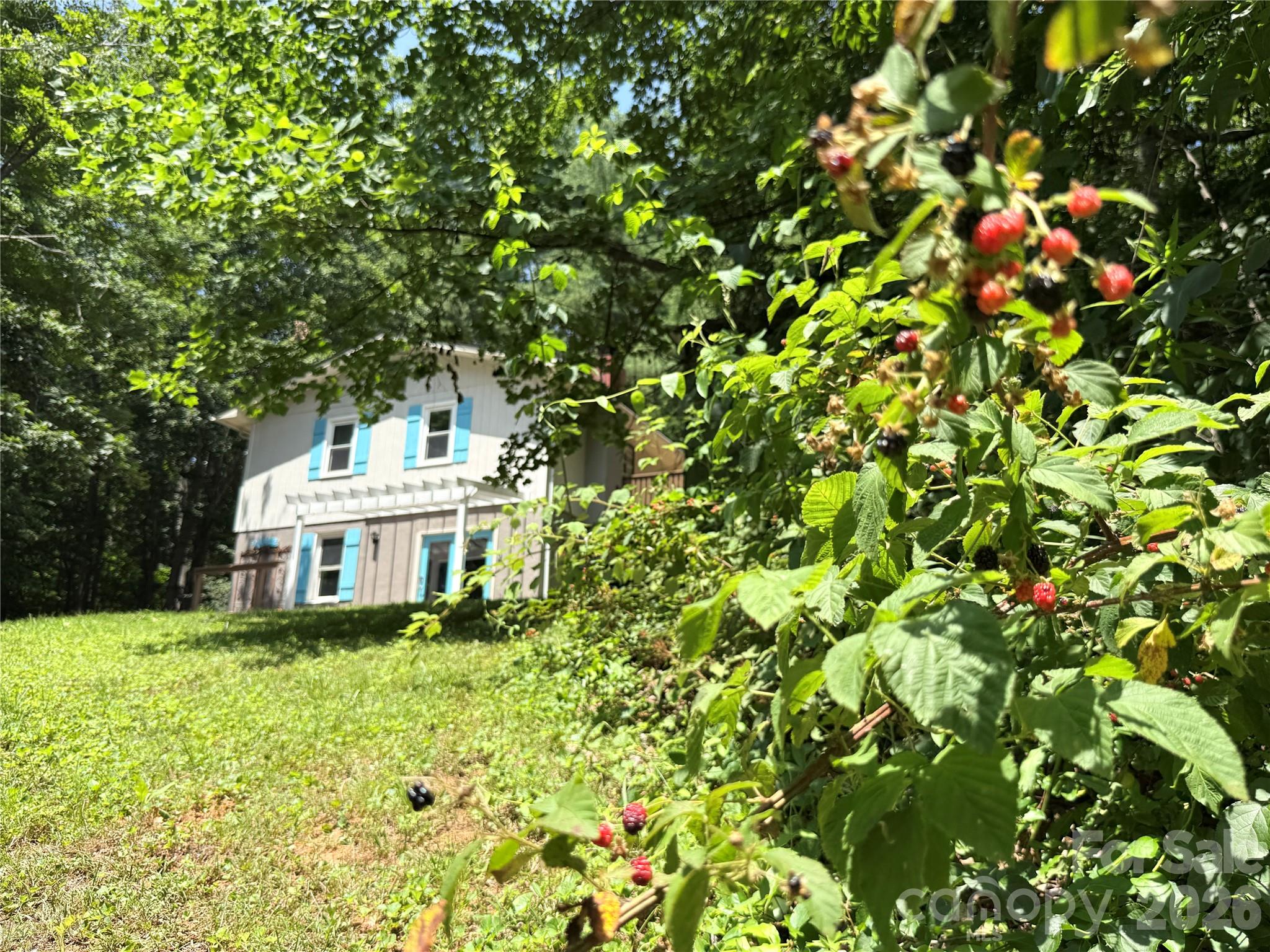Single Family Residence at 95 Walker Cove Road, Black Mountain, photo 39 of 48