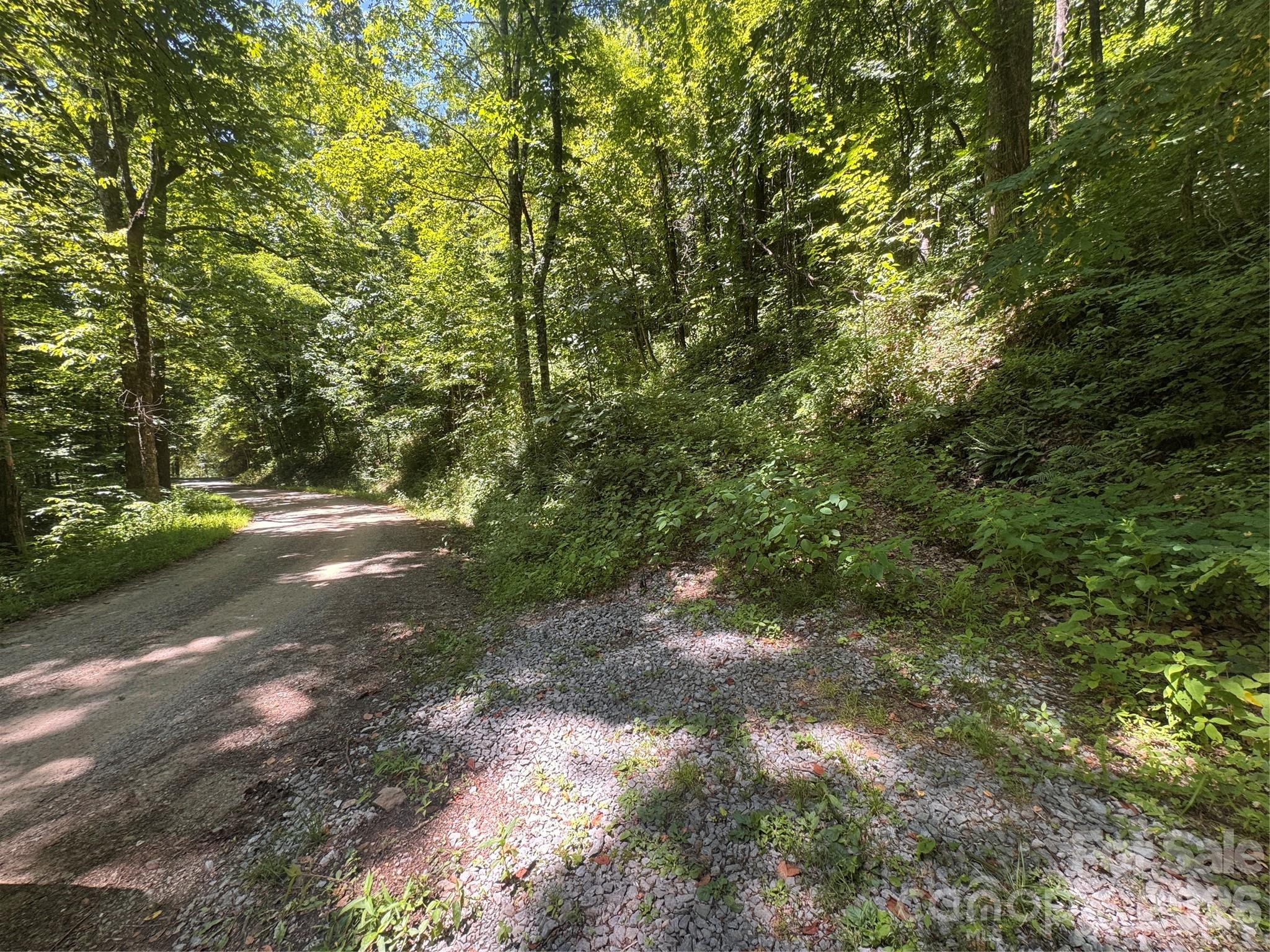 Lot at 505 Mountainside Drive, Waynesville, photo 8 of 20