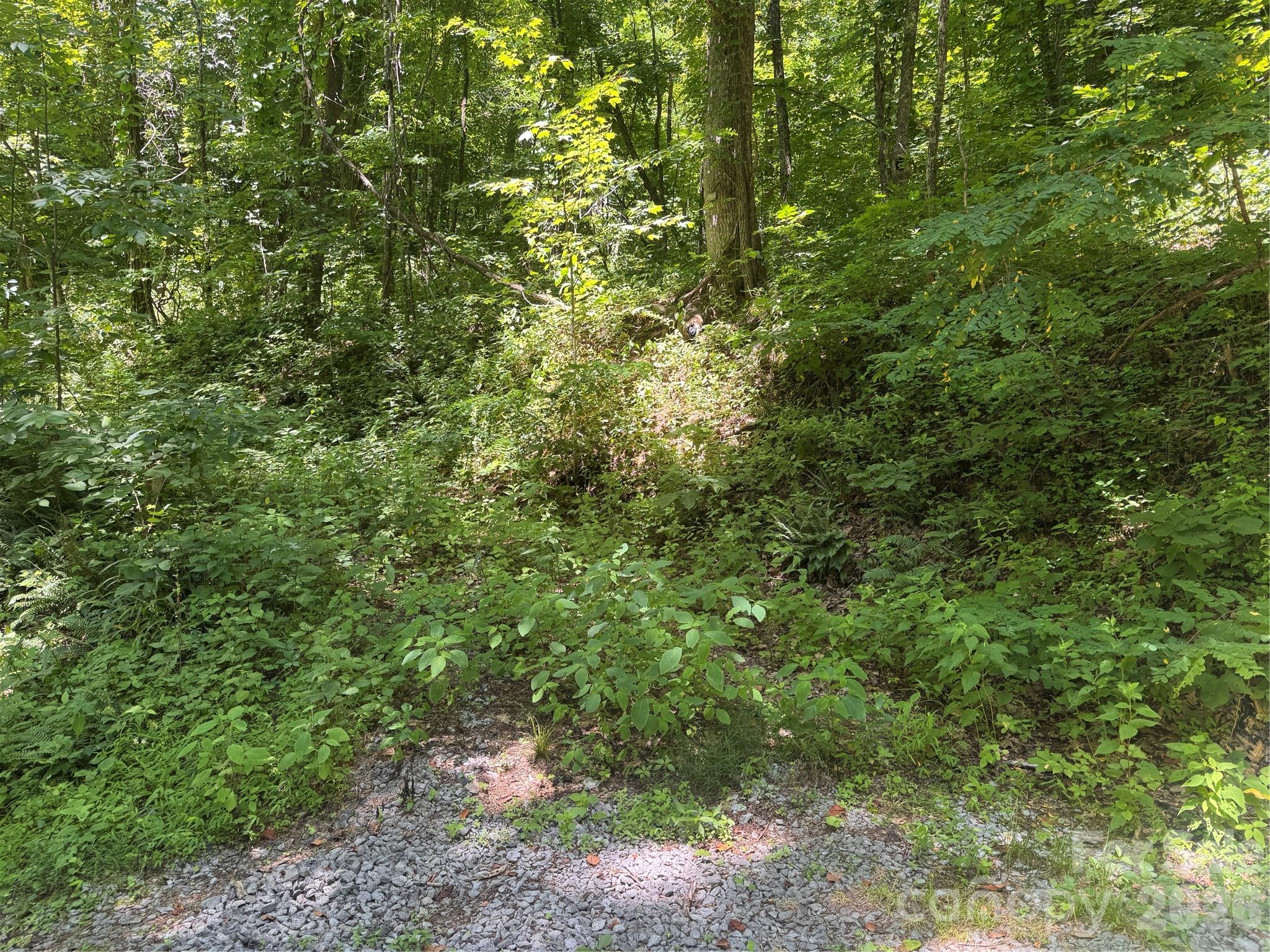 Lot at 505 Mountainside Drive, Waynesville, photo 15 of 20